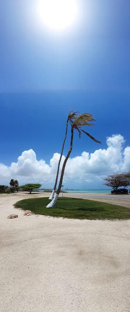 Aruba Beach Villas Palm Beach Екстер'єр фото