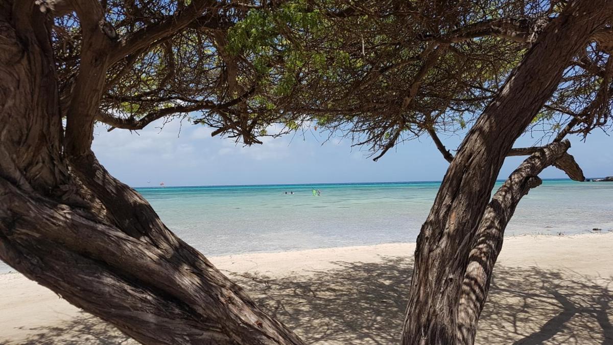 Aruba Beach Villas Palm Beach Екстер'єр фото